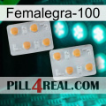 Femalegra-100 25